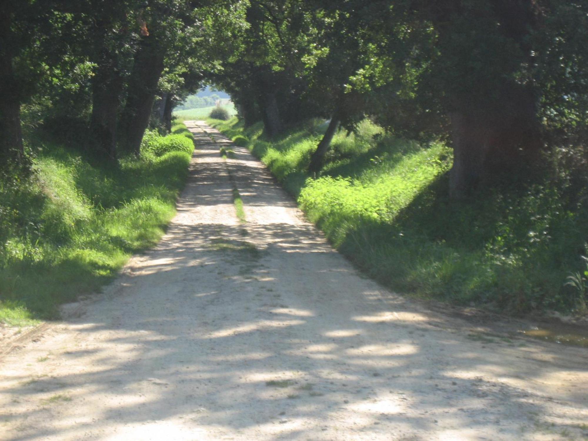 Bed and Breakfast Domaine A Marmande Berdoues Экстерьер фото